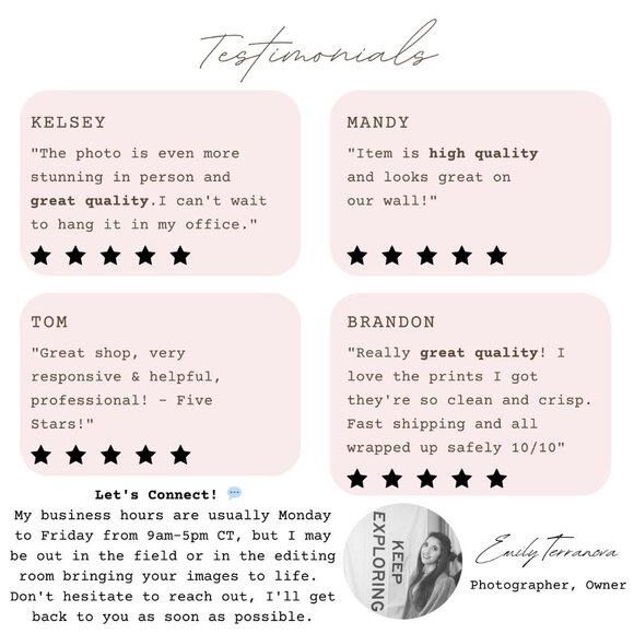 Majestic Theatre | 8x12 Unframed Photography Print | Black and White | wall art - Picture 8 of 8